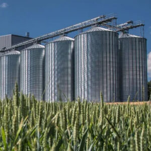 Paddy Silo Storage Tank